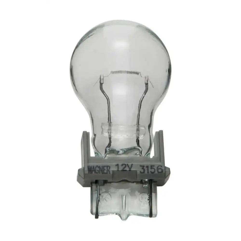3156 Backup Light Bulb