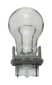 3156 Backup Light Bulb