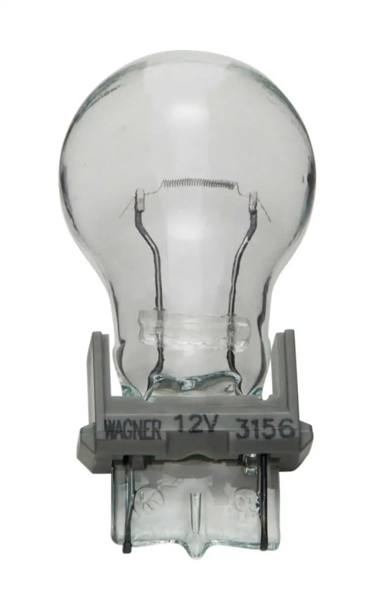 3156 Backup Light Bulb