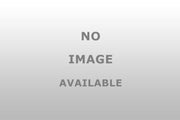 344146L DECK LIGHT