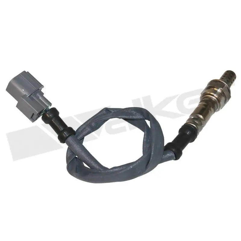 350-34386 Walker Oxygen Sensor for RV, Automotive, Powersports, off-road, marine, exterior, truck accessories, interior, truck bed, RV parts, Truck & Automotive, AVADA - Best Sellers