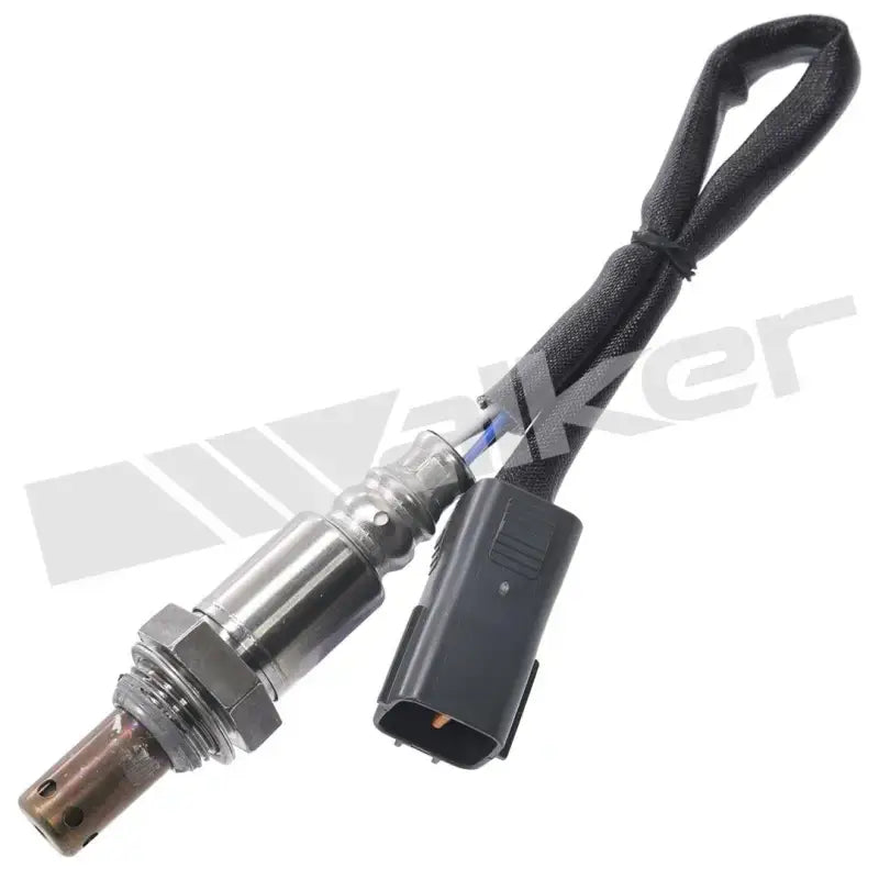 350-64020 Walker Oxygen Sensor