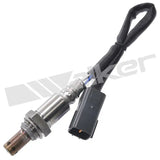 350-64020 Walker Oxygen Sensor