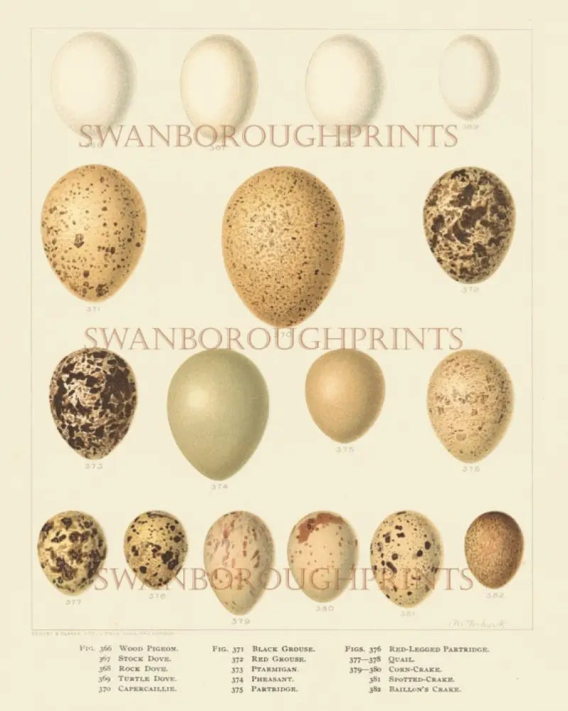 371-PRINT In-House Fly Jersey Print Charge