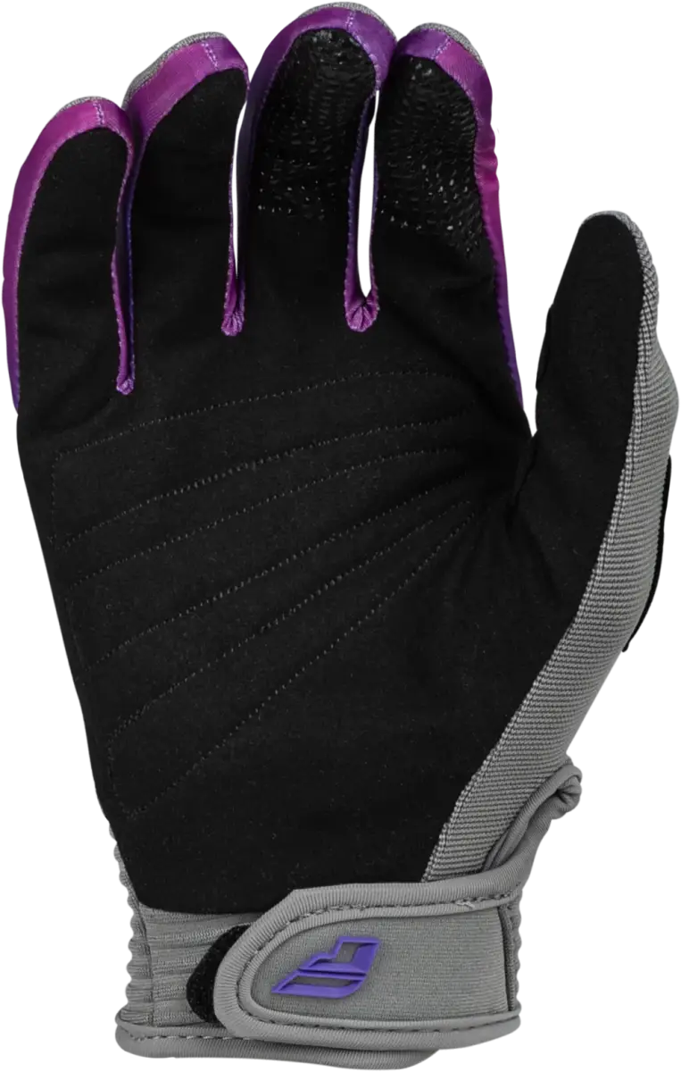 377-210Y2XS Youth F 16 Gloves Grey/Pink/Purple Y2xs - RV and Auto Parts