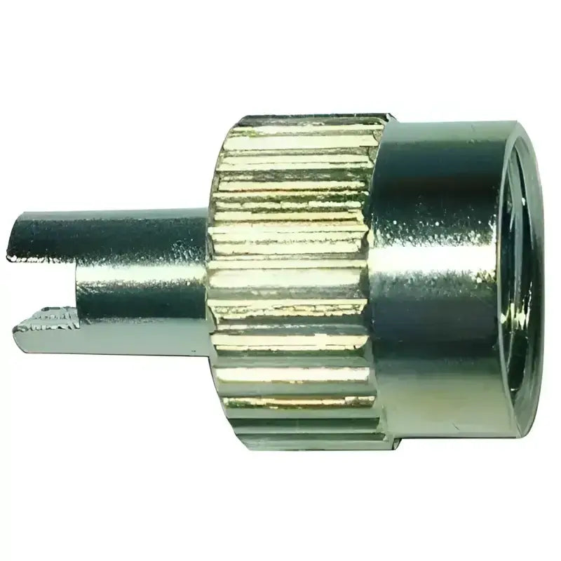 38-600-4 Valve Stem Cap