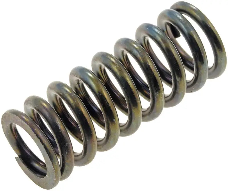 38436 Door Hinge Spring