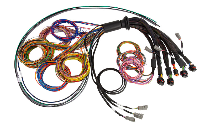 Haltech HT-185200 Haltech NEXUS R5 Basic Universal Wire-In Harness
