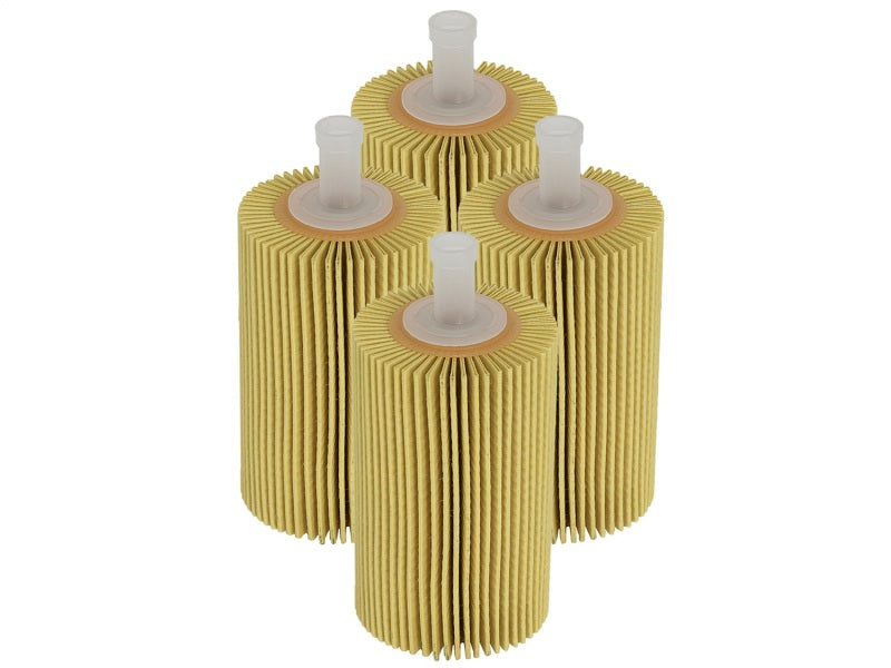 aFe 44-LF015-MB aFe Pro GUARD D2 Oil Filter 07-17 Toyota Tundra/Sequoia V8 4.6L/5.7L (4 Pack)