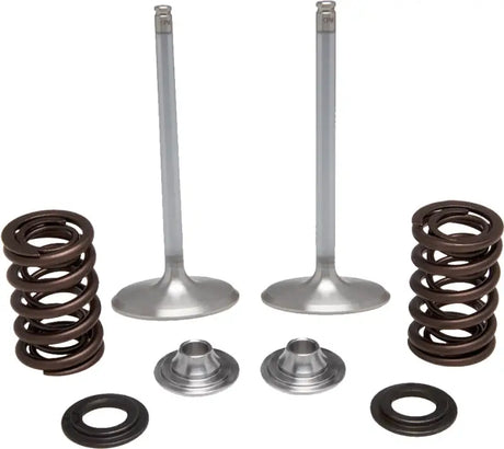 40-40350 Intake Valve Spring Kit