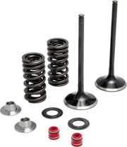 40-40350 Intake Valve Spring Kit