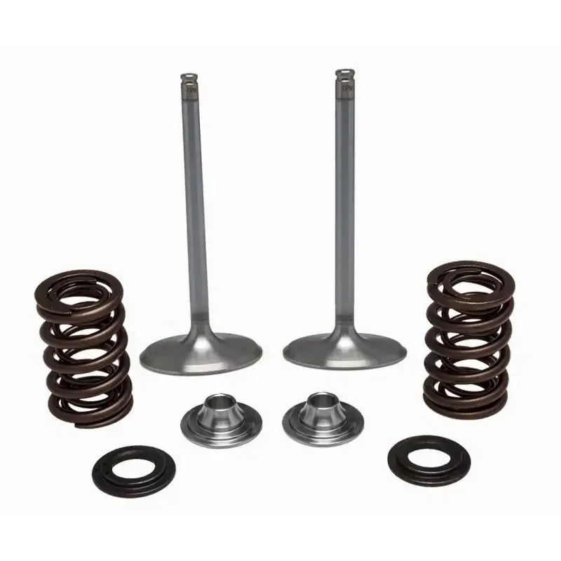 40-41450 SS Intake Valve/Spring Kit - Valve Spring
