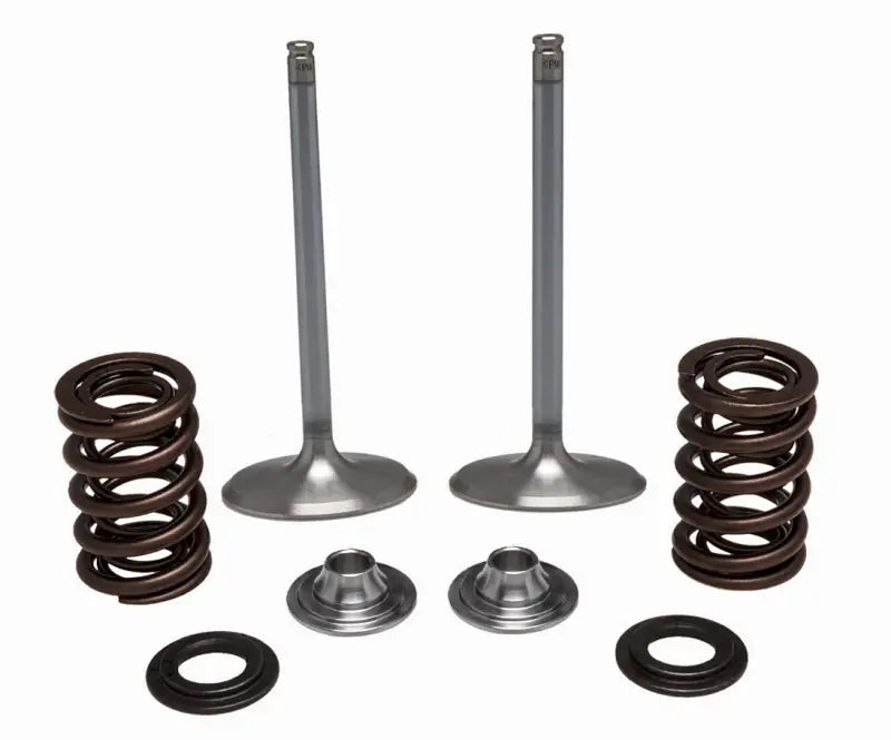 40-41450 SS Intake Valve/Spring Kit - Valve Spring