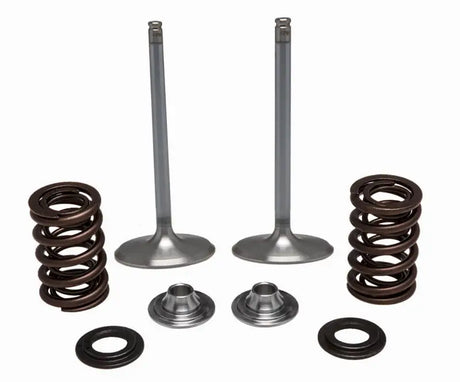 40-41450 SS Intake Valve/Spring Kit - Valve Spring