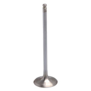 40-41612H Kpmi White Diamond Intake Valve - RV and Auto Parts