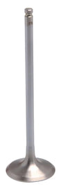 40-41612H Kpmi White Diamond Intake Valve - RV and Auto Parts
