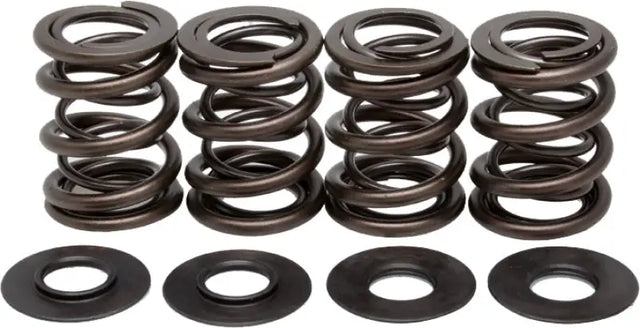 40-4350 Racing Valve Spring Kit
