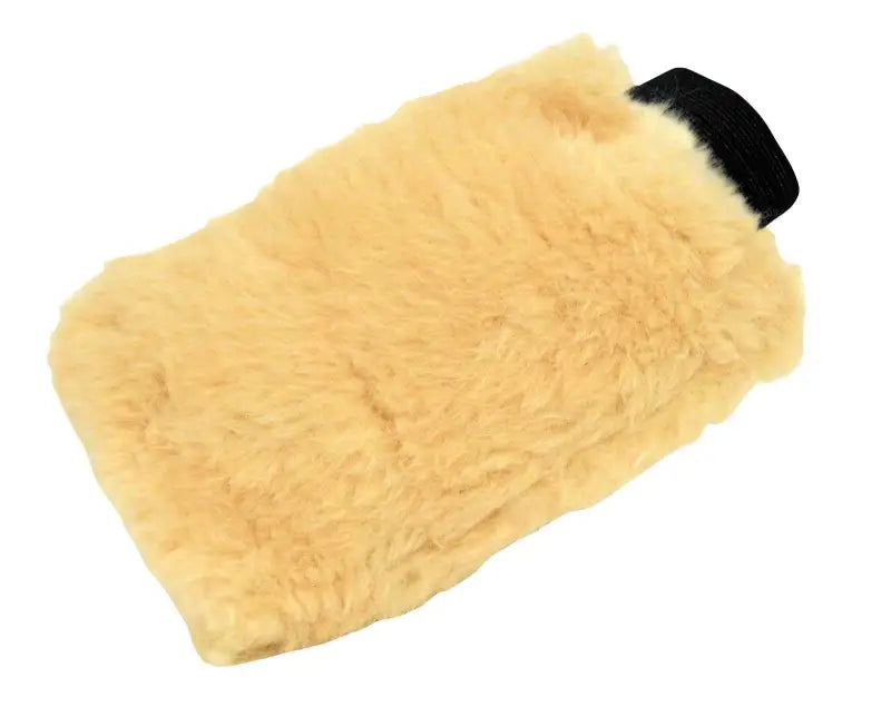 40306 Car Wash Mitt