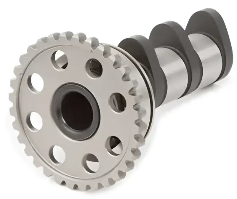 4089-2IN Racing Cam Stage 2