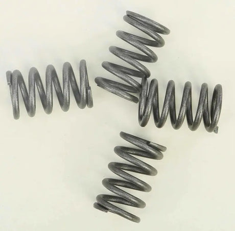 410-HXR-1005 Hd Clutch Springs