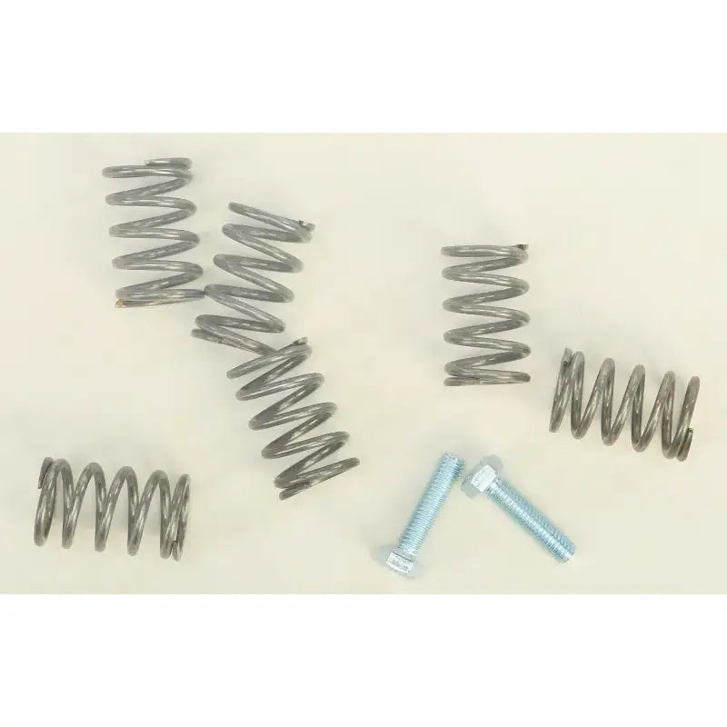 BBR 410-KLX-1105 Hd Clutch Springs