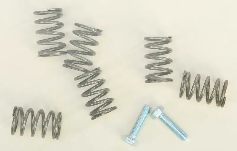BBR 410-KLX-1105 Hd Clutch Springs