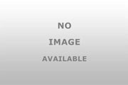 41178 Gorilla Acrn Bluge 7/16’ 100/Bx - Lug Nut