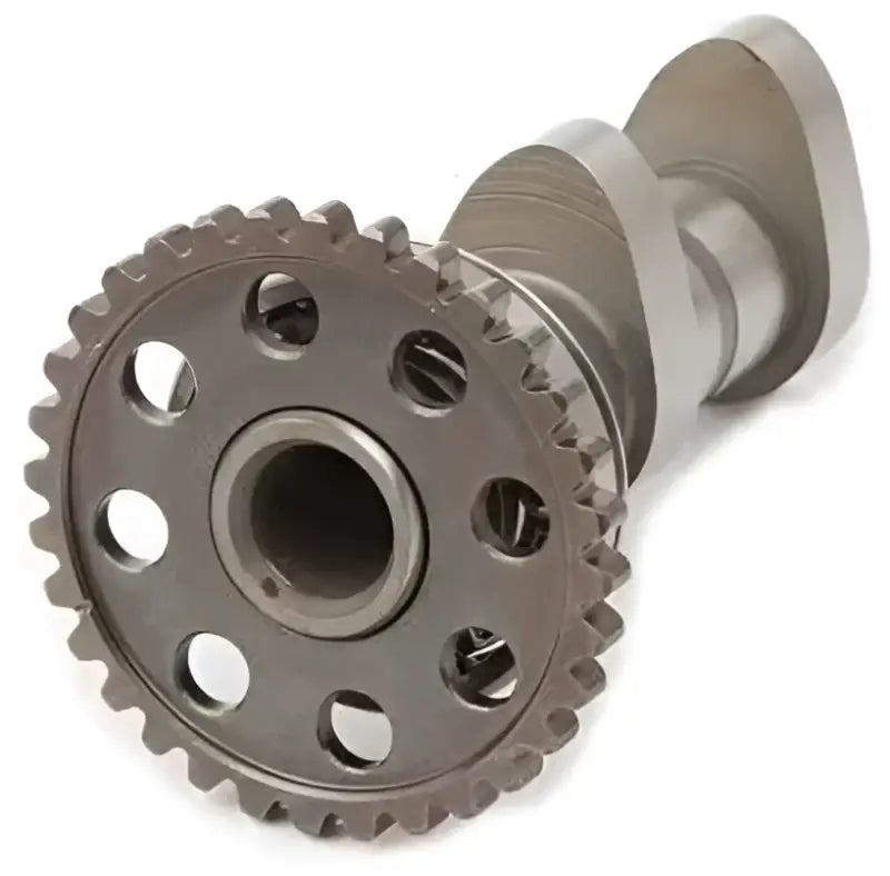 4165-2IN Racing Cam Stage 2