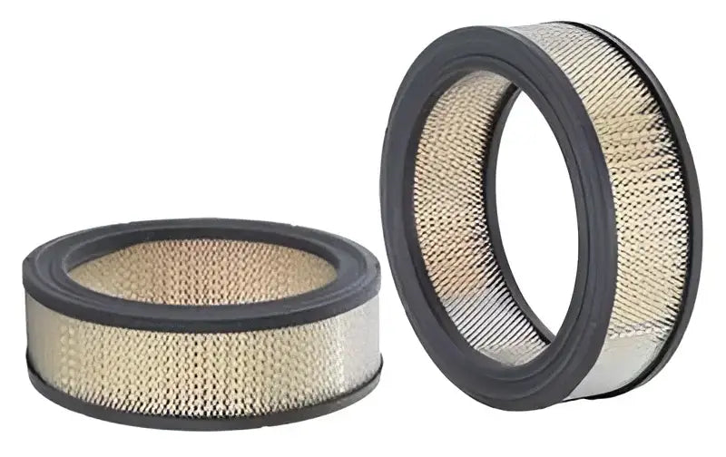 42373 Air Filter