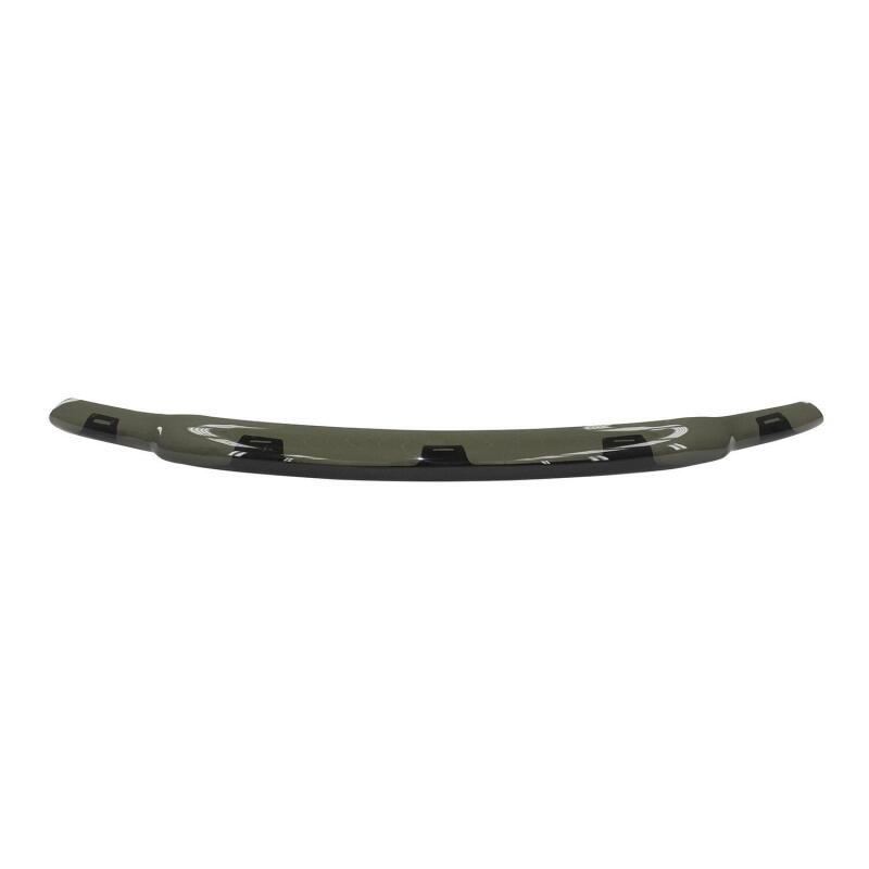 WESTIN 72-97160 SMOKE PLAT BUG SHIELD