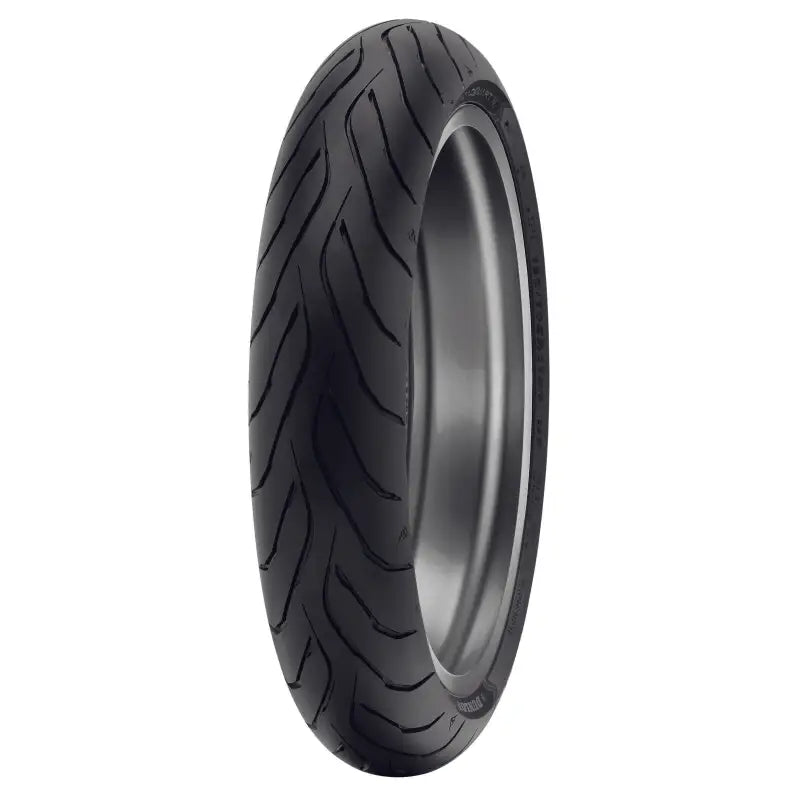 45253308 Dunlop Tire Roadmsart Iv Front 120/70Zr19 (60W) Tl - Roadsmart IV