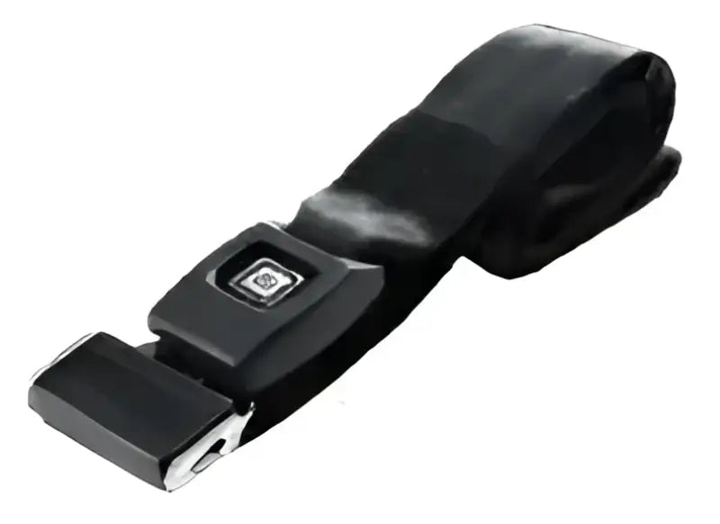 46-3250B Seat Belt