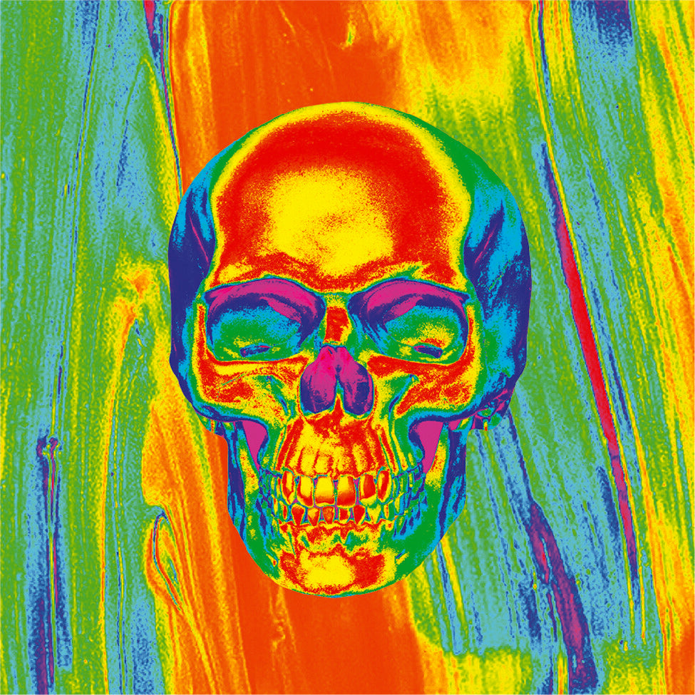 ZAN Poly Micromesh Thermal Flydanna Headgear ZM595 - Thrml Skull