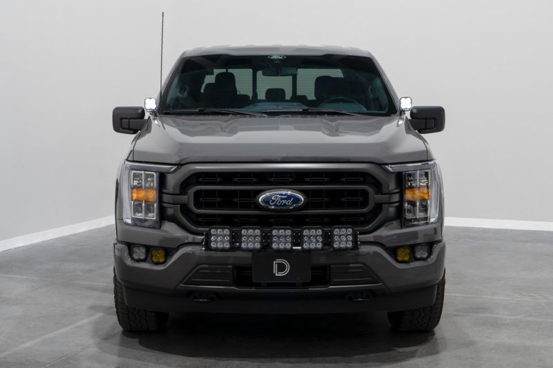 Diode Dynamics 21-22 Ford F-150 SS3 Stage Series Backlit Ditch Light Kit - Pro White Combo - DD7371