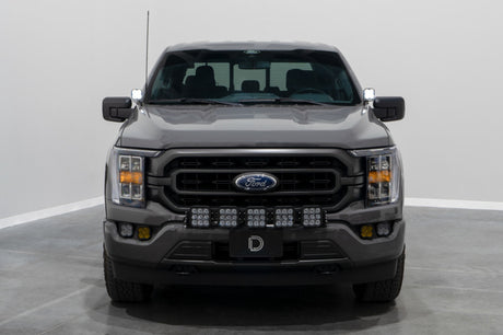 Diode Dynamics 21-22 Ford F-150 SS3 Stage Series Backlit Ditch Light Kit - Pro White Combo - DD7371