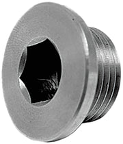 Oxygen Sensor Plug