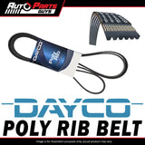 4PK828EE Dayco Poly Rib Belt - Belts Oem