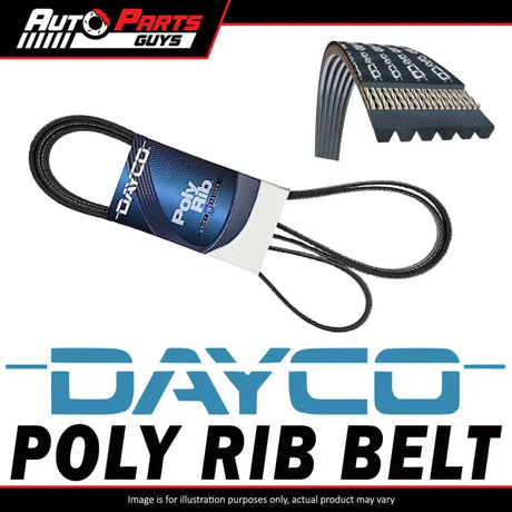 4PK828EE Dayco Poly Rib Belt - Belts Oem