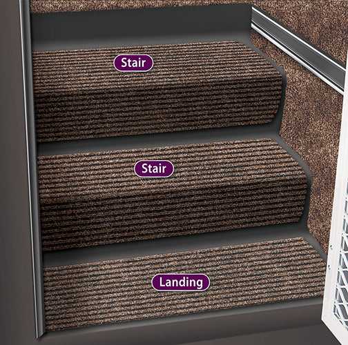 5-1091 Step Rug