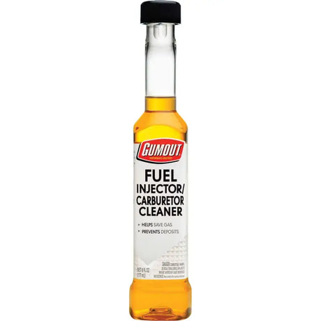 510021 Fuel System Cleaner