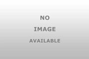 5191037AD Bolt