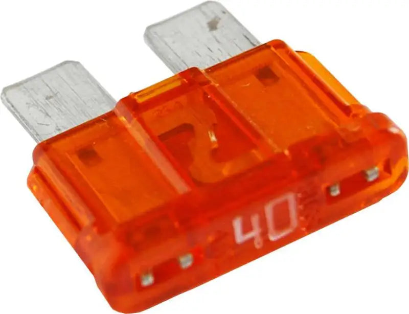 5246-BSS Fuse