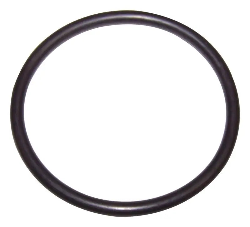 53000575 Crown Auto Fuel Seal