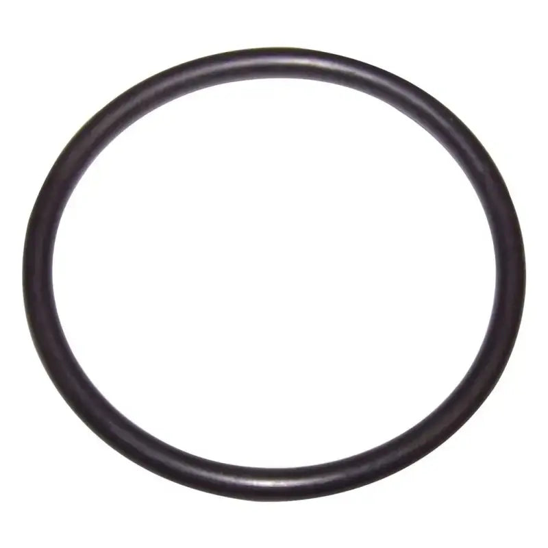 53000575 Crown Auto Fuel Seal