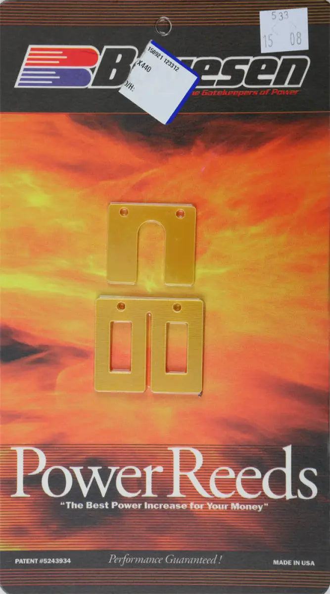 533 Snowmobile Reeds - Dual Stage Power