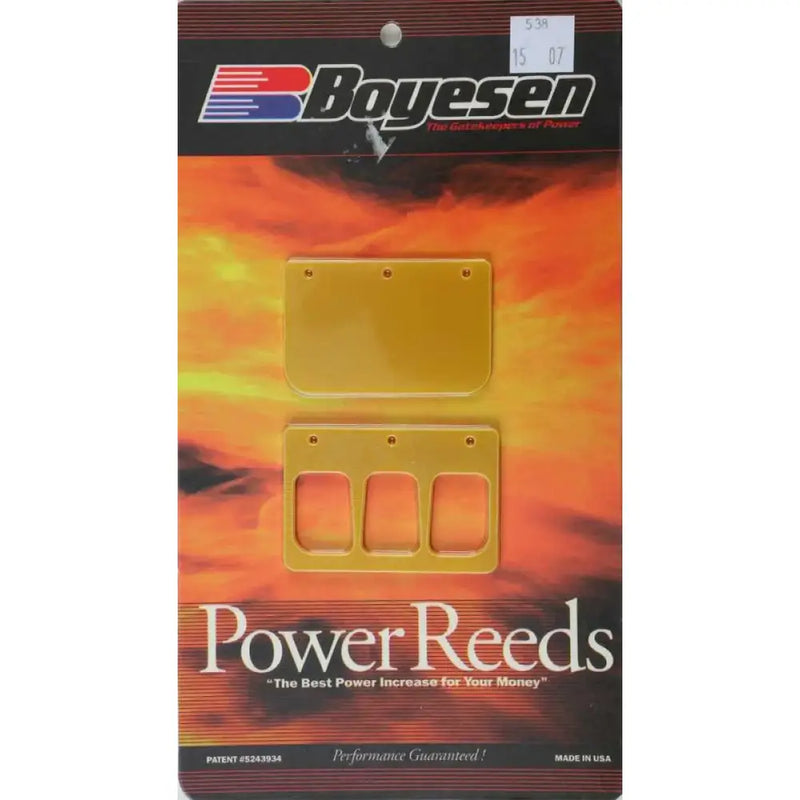 BOYESEN 538 Snowmobile Reeds