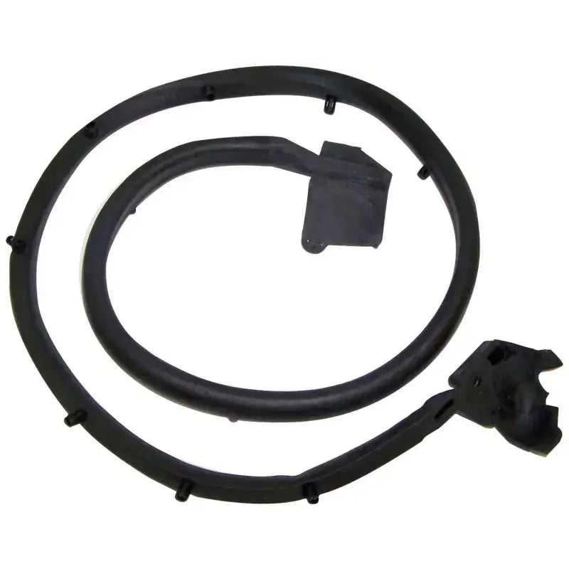55009829 Door Weather Strip