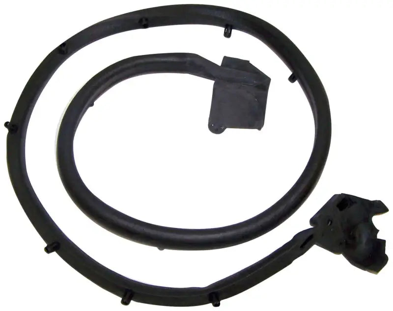 55009829 Door Weather Strip