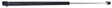 55029560 Crown Automotive Liftgate Lift Support Black