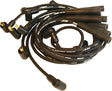 5543 Spark Plug Wire Set